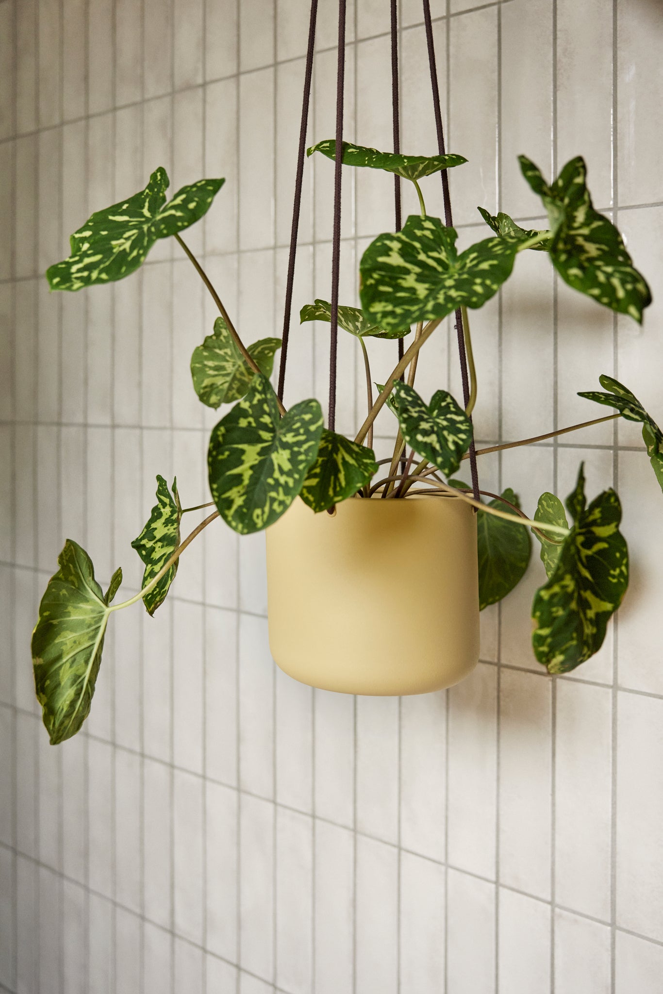 Bloom Hanging Pots Large Khaki (set of 3)